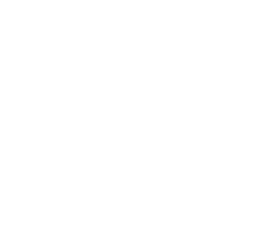 Logo van Website van het Jaar 2026: Radiozenders.FM is genomineerd in de categorie Audio